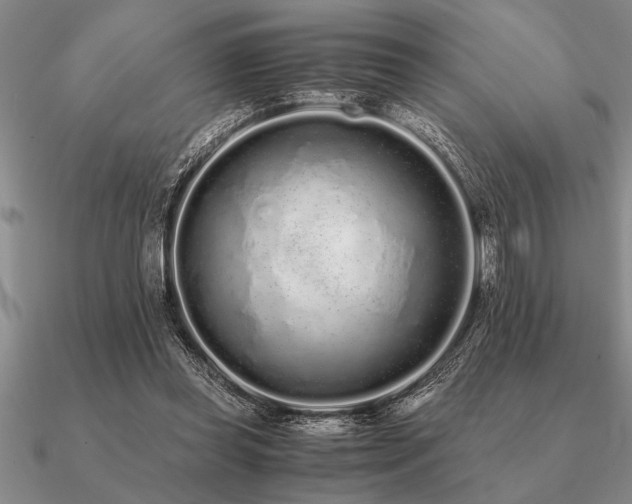 X0000091100349200708061424