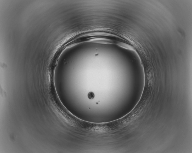 X0000091100350200708061424