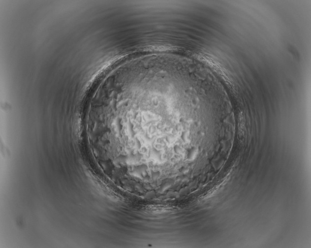 X0000091100351200708061424