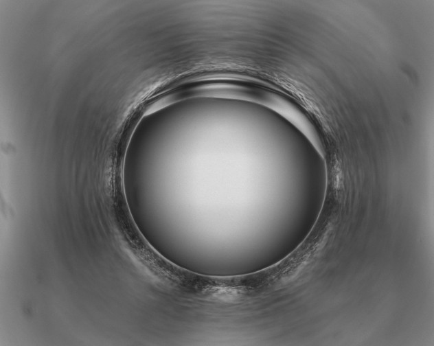 X0000091100352200708061424