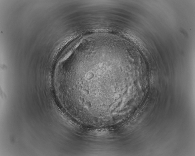 X0000091100353200708061424