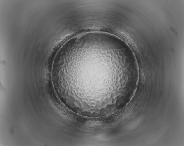 X0000091100354200708061424