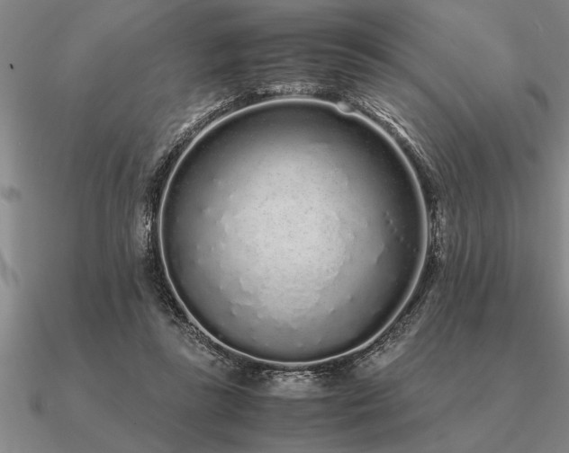 X0000091100355200708061424