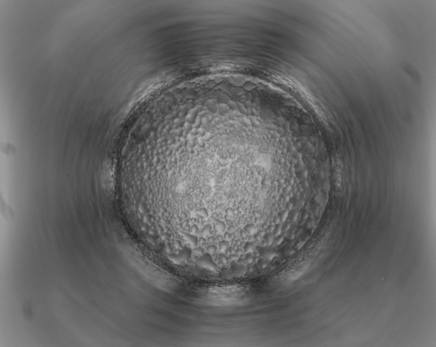 X0000091100357200708061424