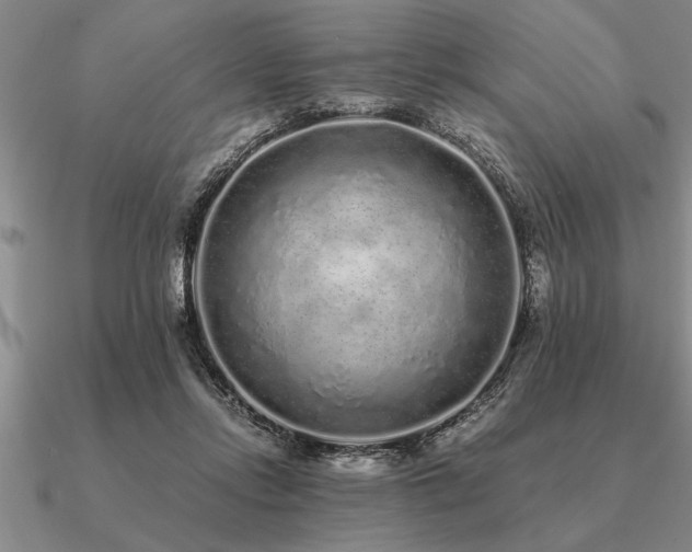 X0000091100358200708061424