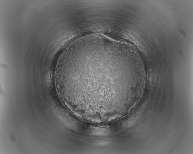 X0000091100359200708061424