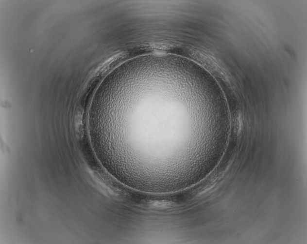 X0000091100360200708061424