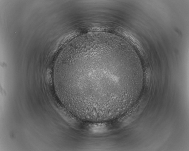 X0000091100361200708061424