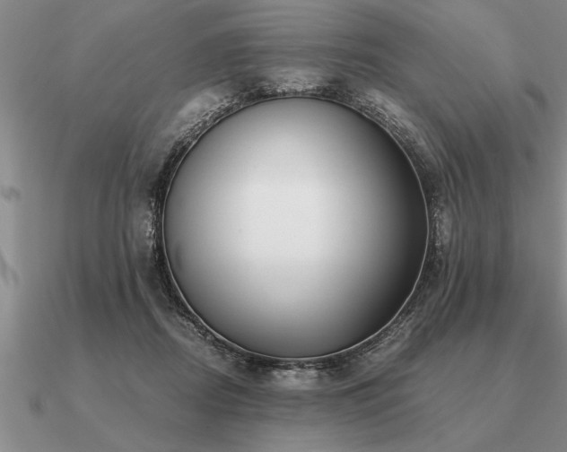 X0000091100362200708061424