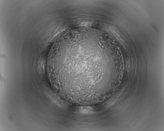 X0000091100363200708061424