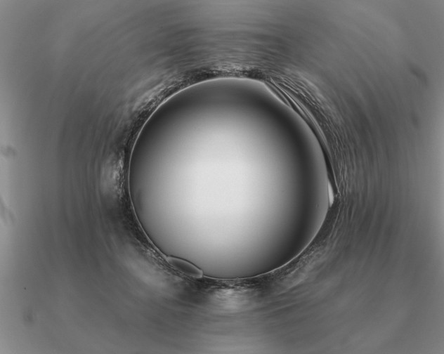 X0000091100364200708061424