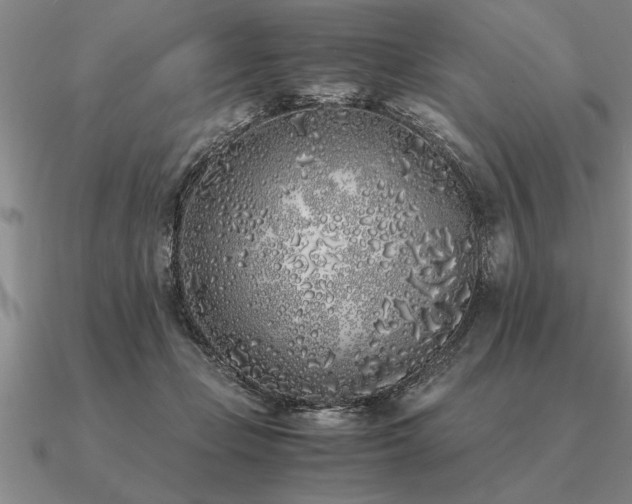 X0000091100365200708061424