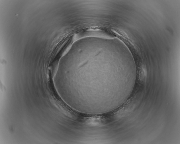 X0000091100366200708061424