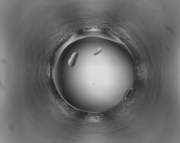 X0000091100368200708061424