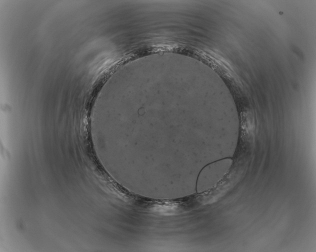 X0000091100369200708061424