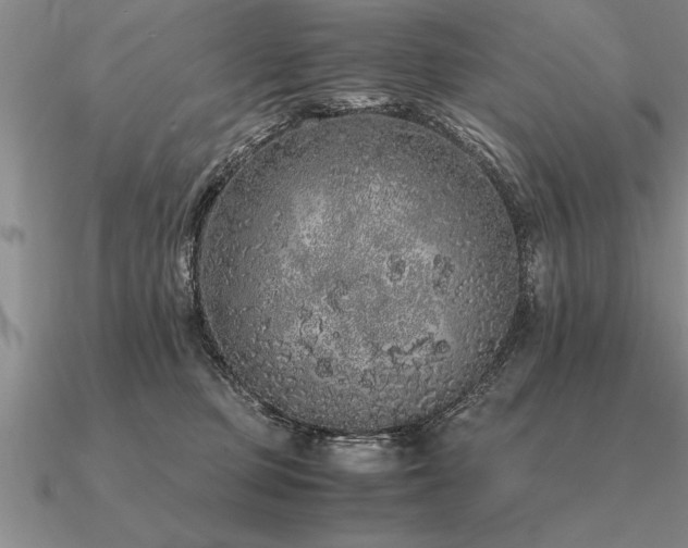 X0000091100373200708061425