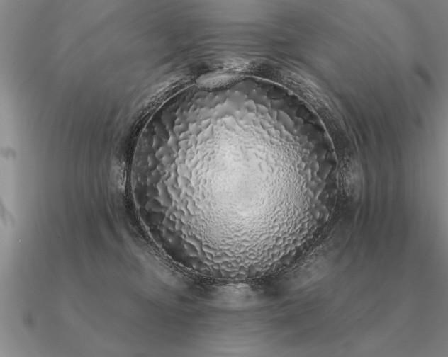 X0000091100374200708061425