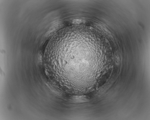 X0000091100375200708061425