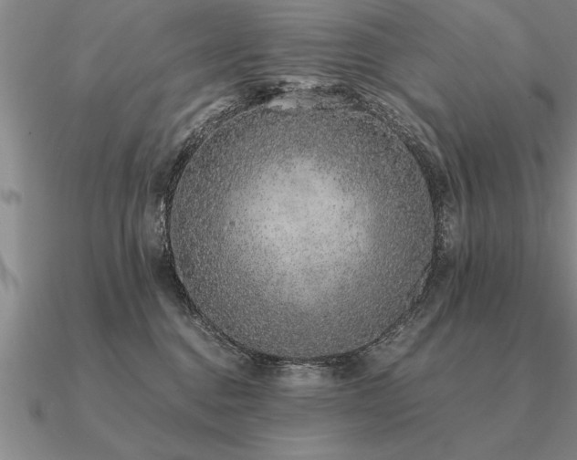 X0000091100376200708061425