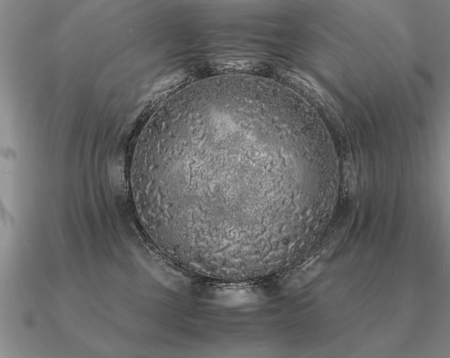 X0000091100377200708061425