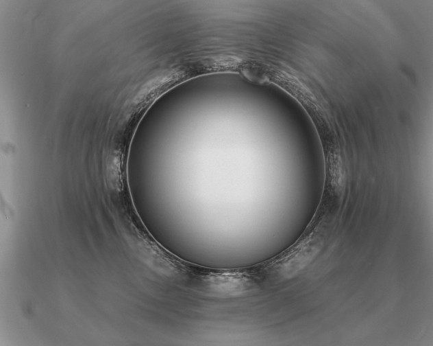 X0000091100378200708061425