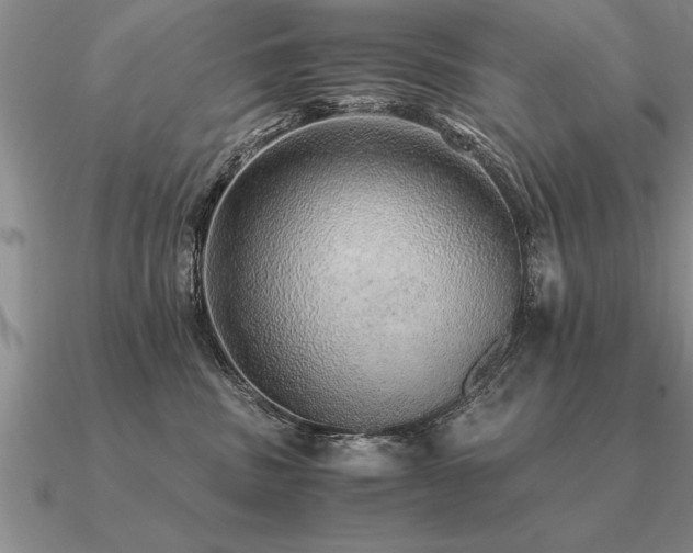 X0000091100379200708061425