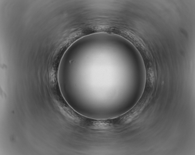 X0000091100380200708061425