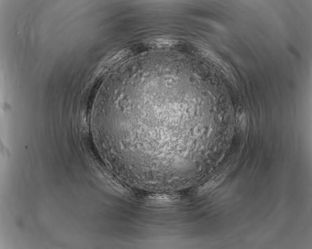 X0000091100381200708061425