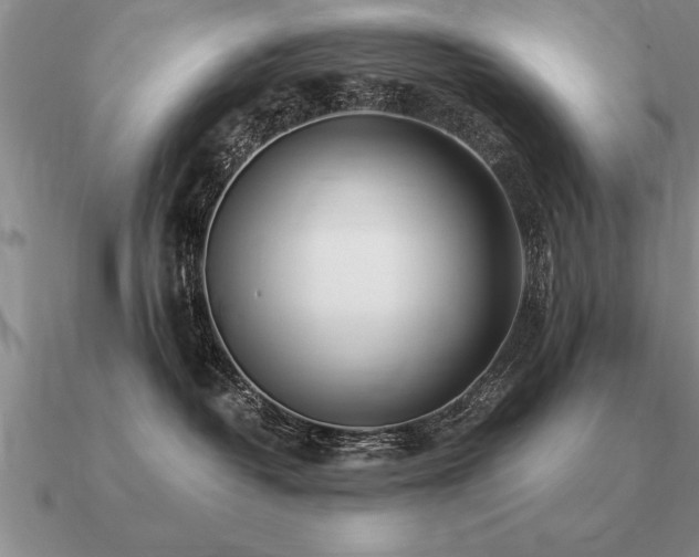 X0000091100382200708061425