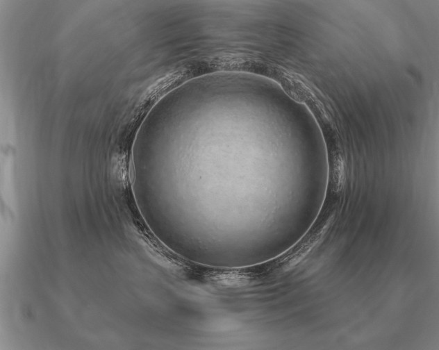 X0000091100383200708061425