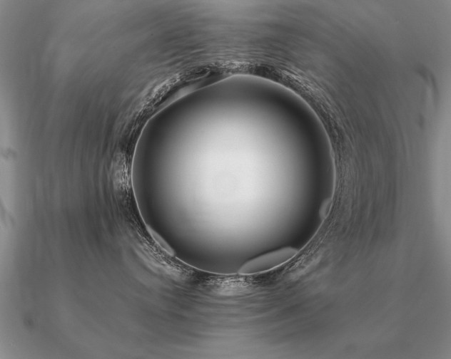 X0000091100384200708061425