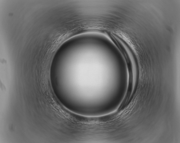 X0000091100385200708061424