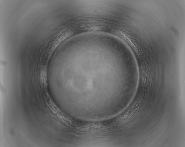 X0000091100386200708061424