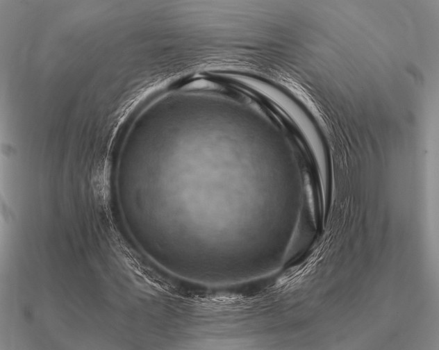 X0000091100387200708061424