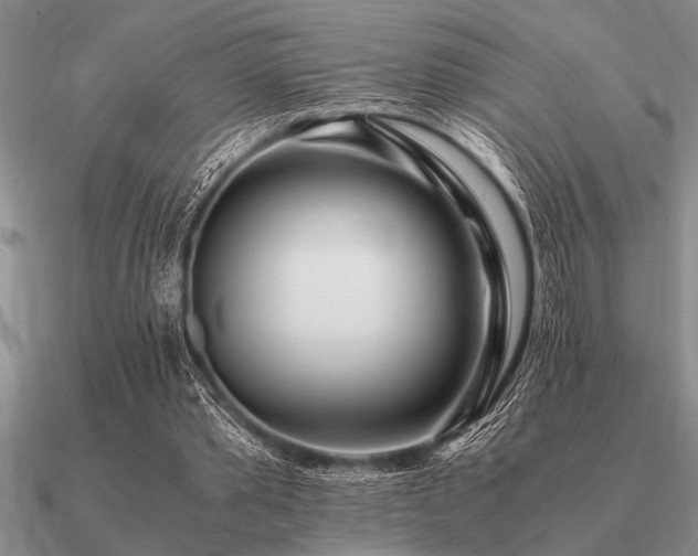 X0000091100389200708061424