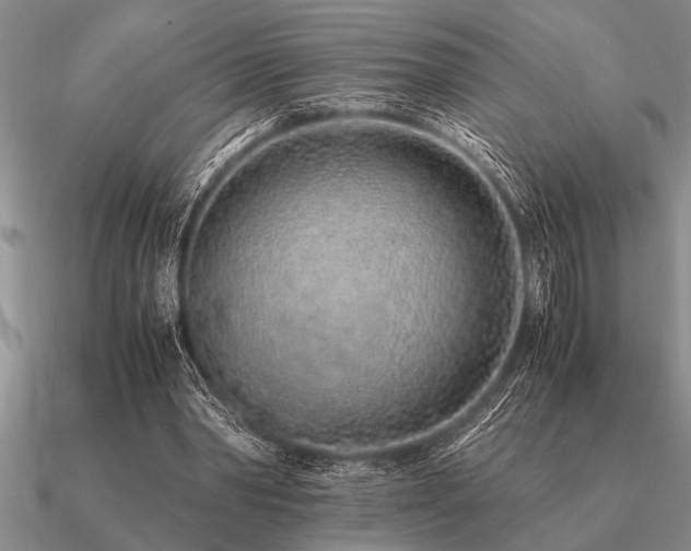 X0000091100390200708061424