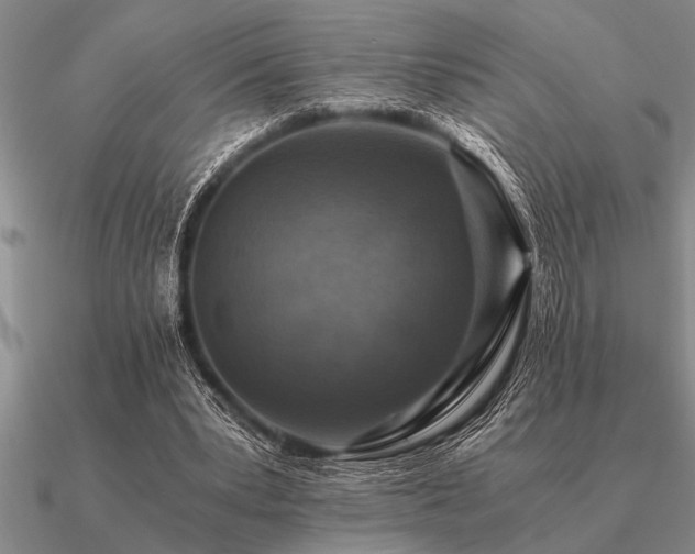 X0000091100391200708061424