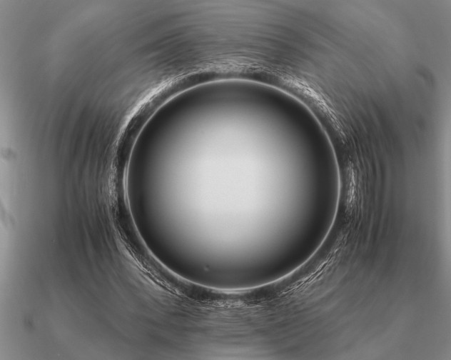 X0000091100392200708061424