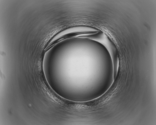 X0000091100393200708061424