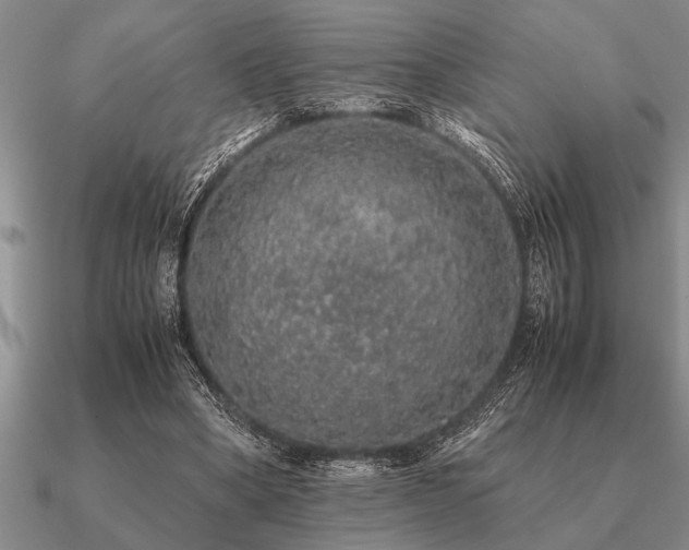 X0000091100394200708061424