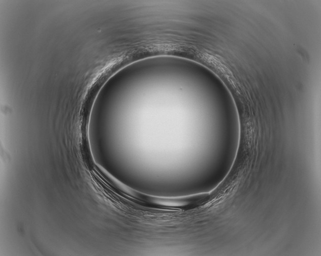 X0000091100395200708061424