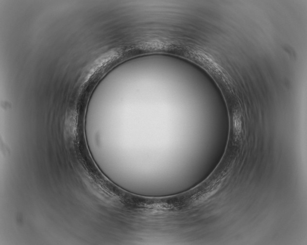 X0000091100396200708061424