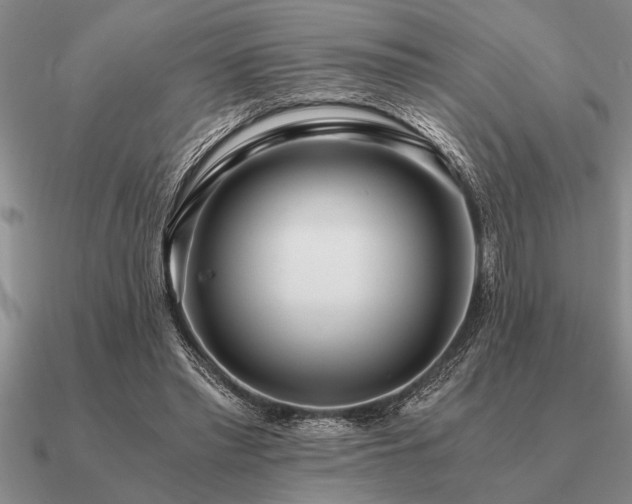 X0000091100397200708061424