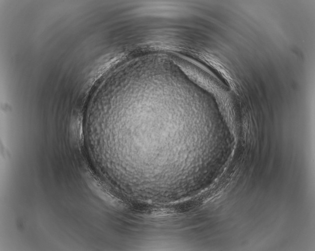 X0000091100398200708061424