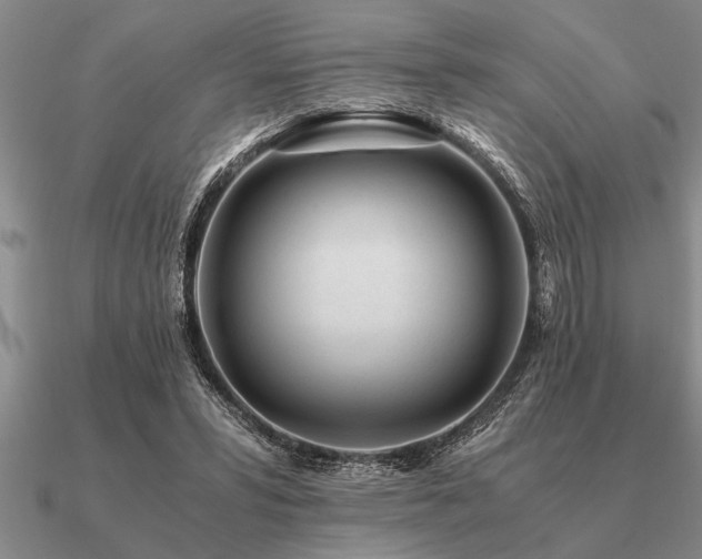 X0000091100399200708061424