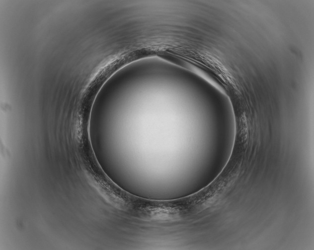 X0000091100400200708061424