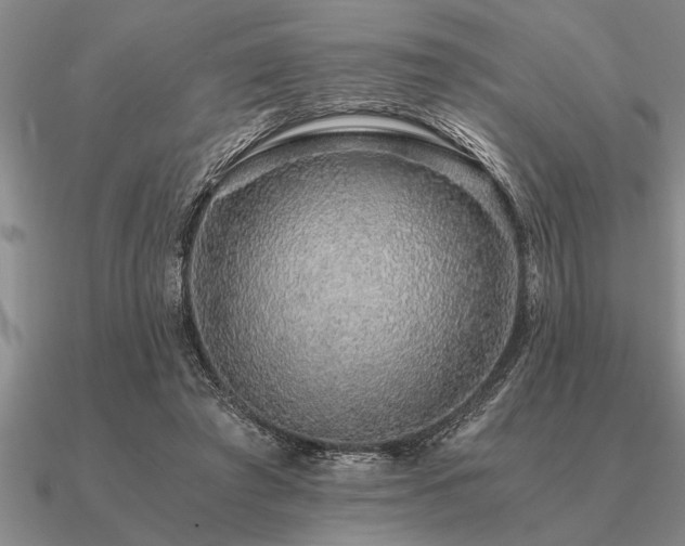 X0000091100401200708061424