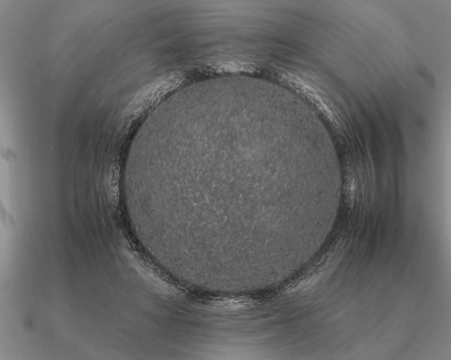 X0000091100402200708061424