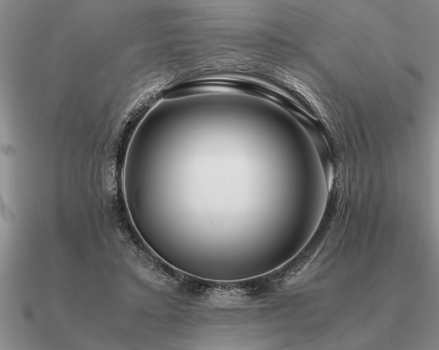 X0000091100403200708061424