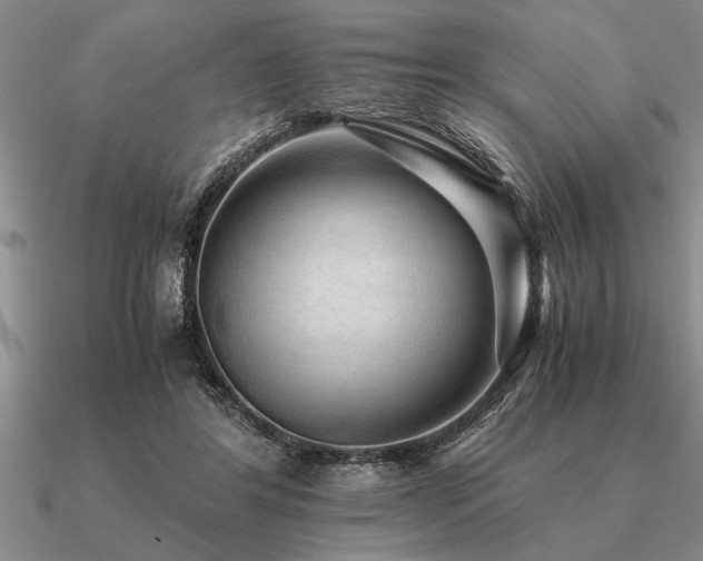 X0000091100404200708061424